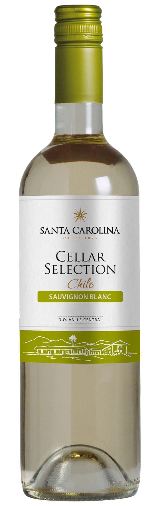 Santa Carolina Cellar Selection Sauvignon Blanc Vynas Prike